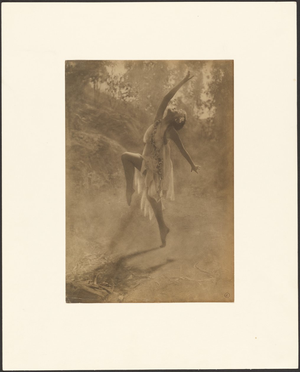 Rosentanz des Südens von Louis Fleckenstein