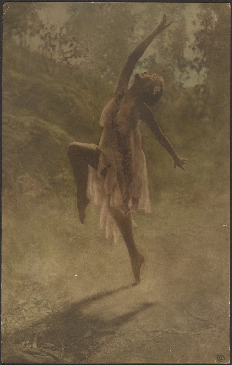 Rosentanz des Südens von Louis Fleckenstein