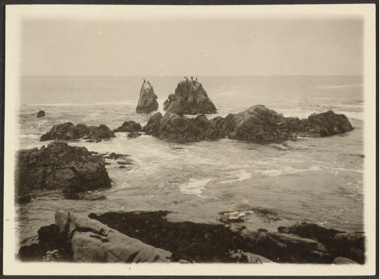 Meereslandschaft von Louis Fleckenstein