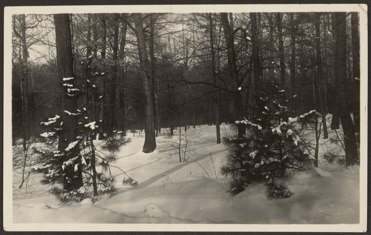 Verschneite Landschaft von Louis Fleckenstein