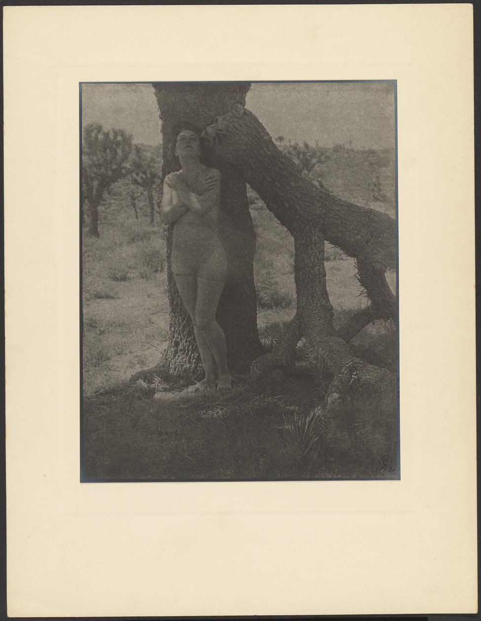 Geist des Joshua von Louis Fleckenstein