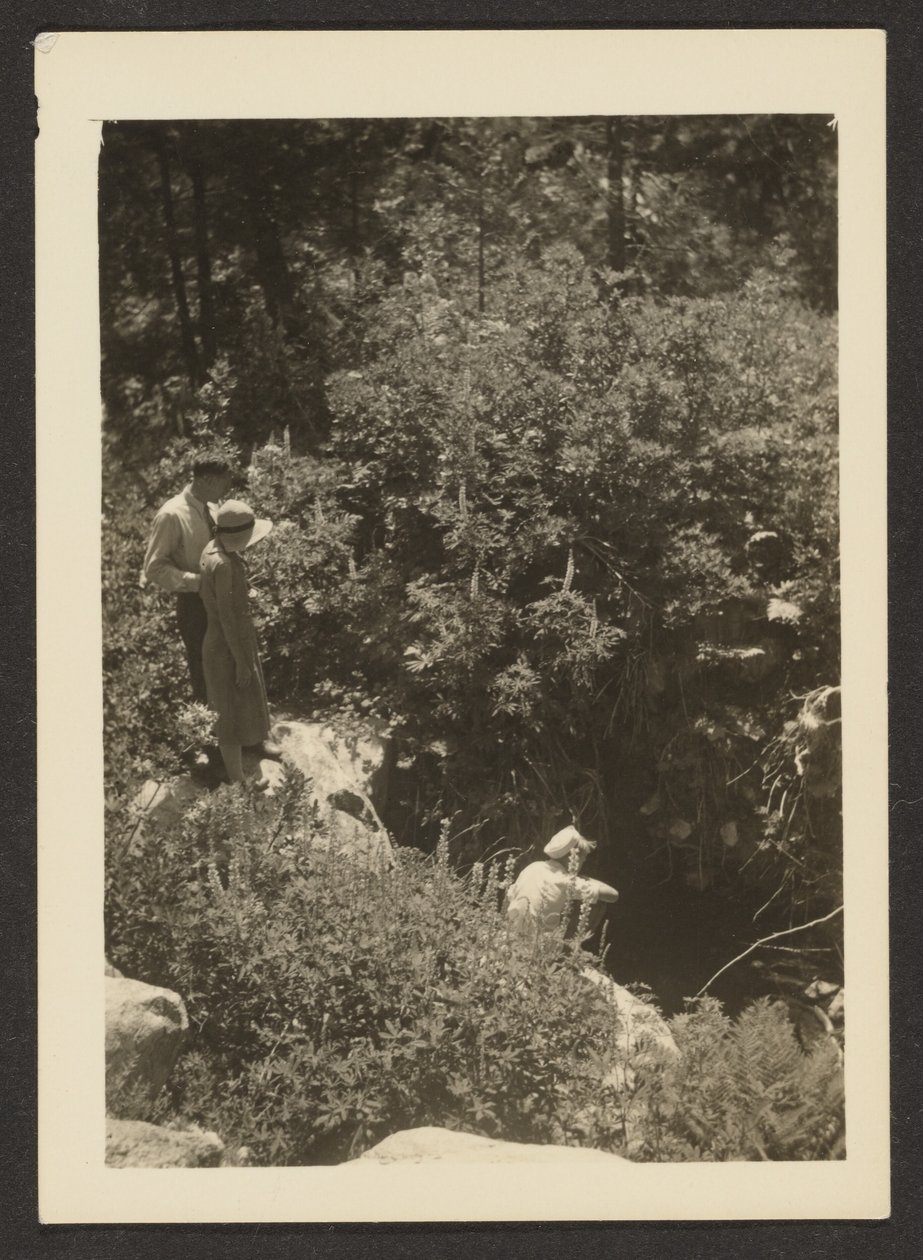 Frühling im Fern Valley von Louis Fleckenstein