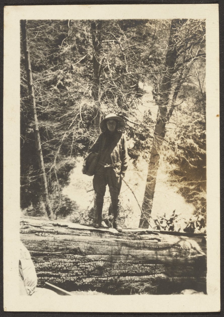 [Frau auf umgestürztem Baum stehend] von Louis Fleckenstein