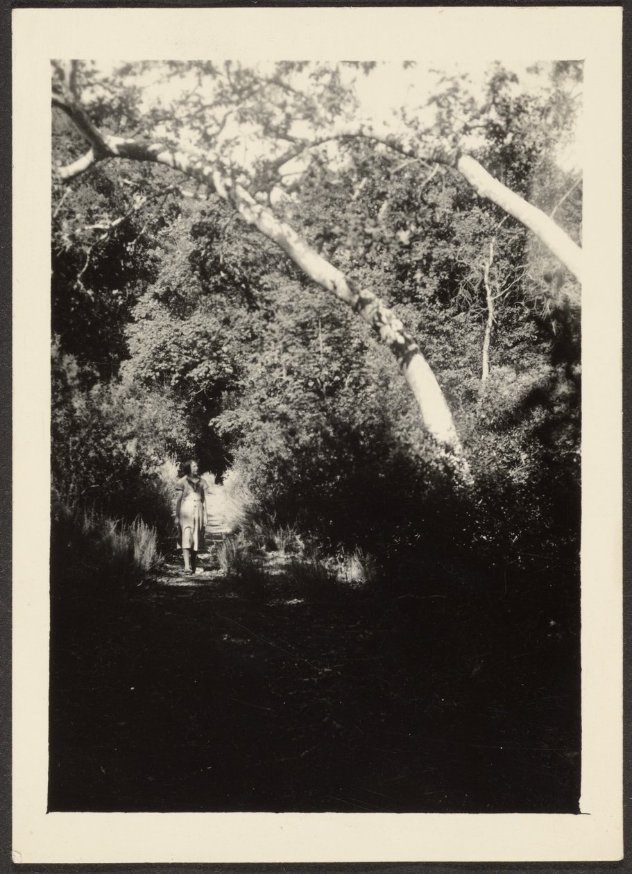 Frau auf einem Pfad im Wald von Louis Fleckenstein