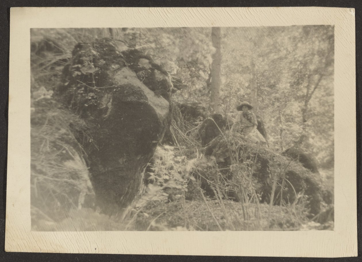 Frau auf Felsen im Wald von Louis Fleckenstein