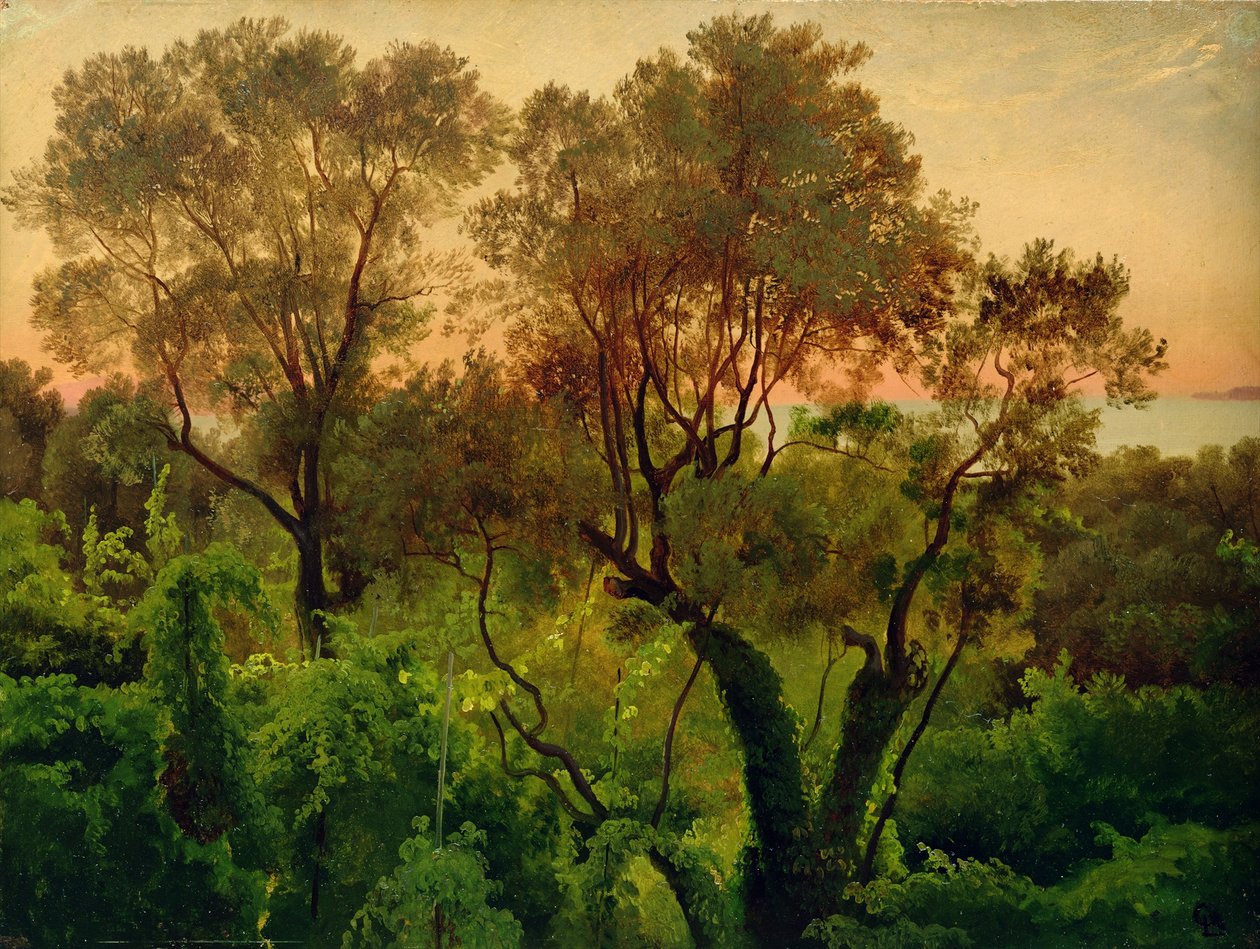 Hang mit Olivenbäumen von Louis Gurlitt