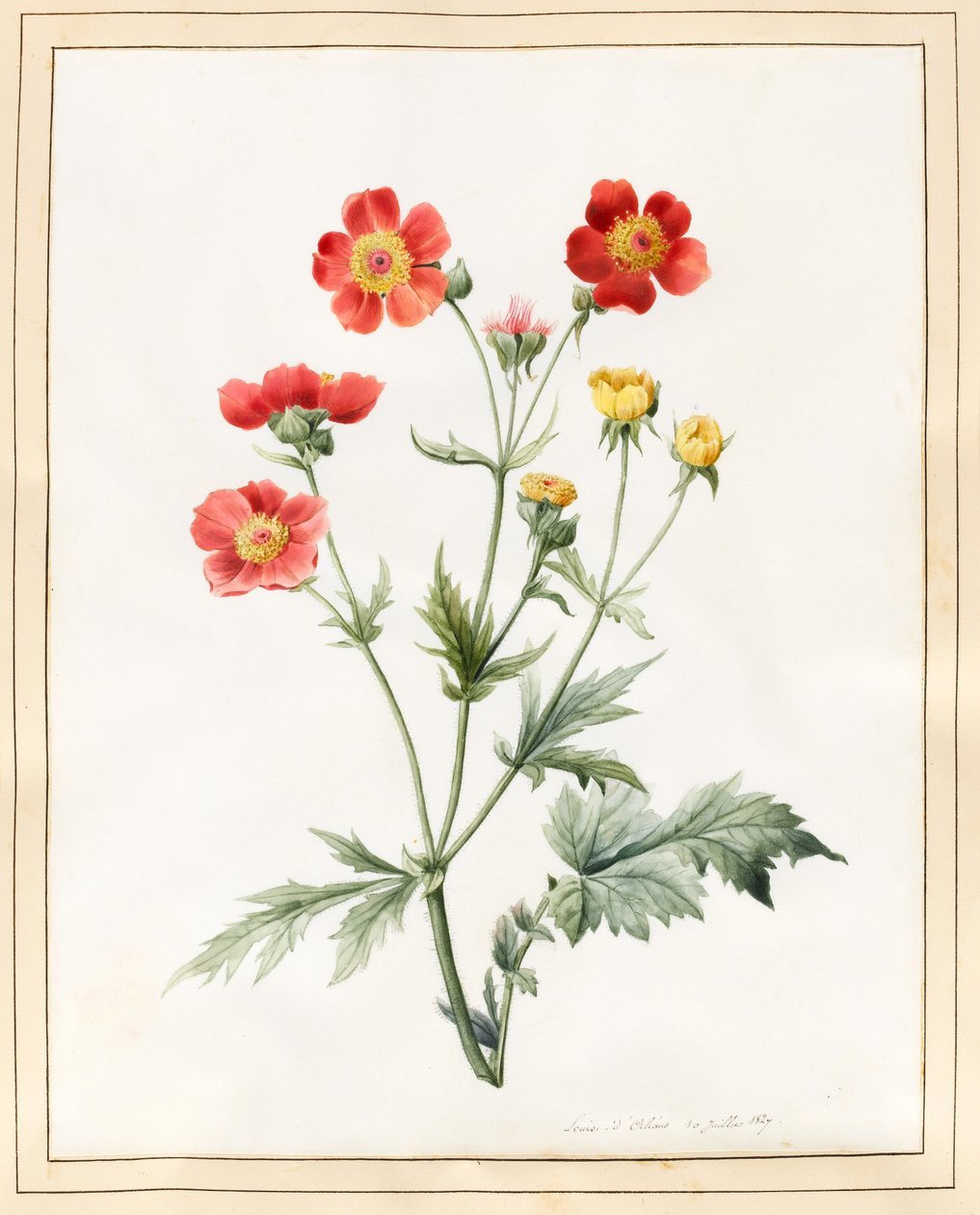 Komposit, 1827 von Louise DOrleans