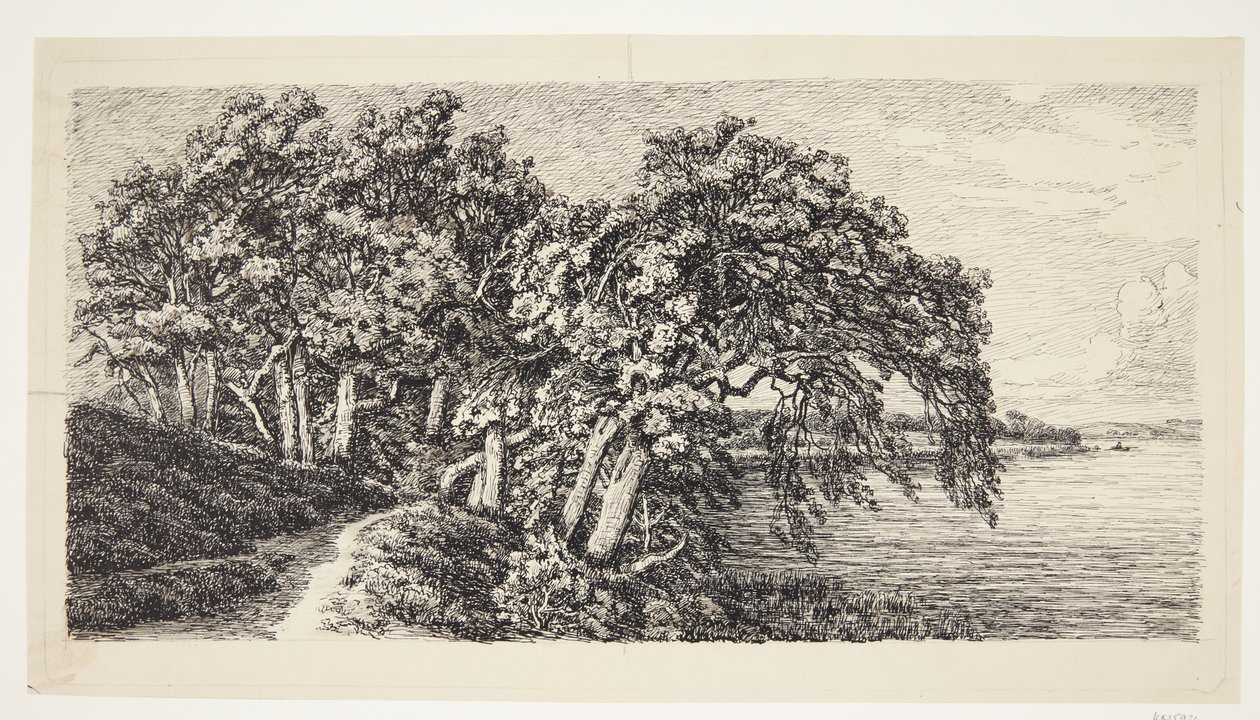 Alte Eichen bei Hald Sø von Louise Ravn Hansen