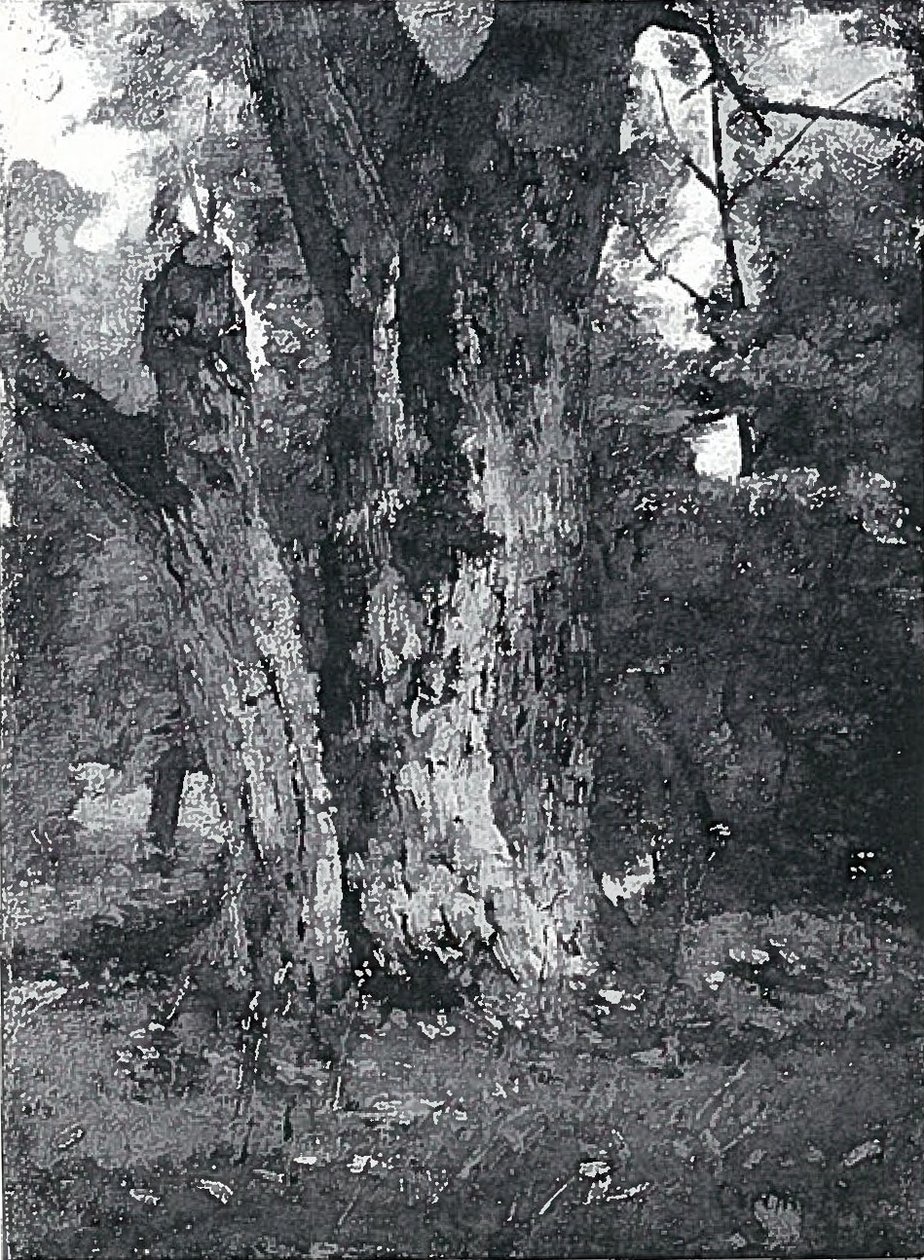 Park in Königsberg von Lovis Corinth