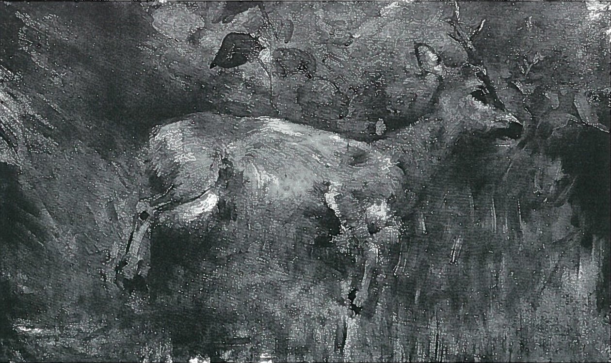 Toter Rehbock von Lovis Corinth