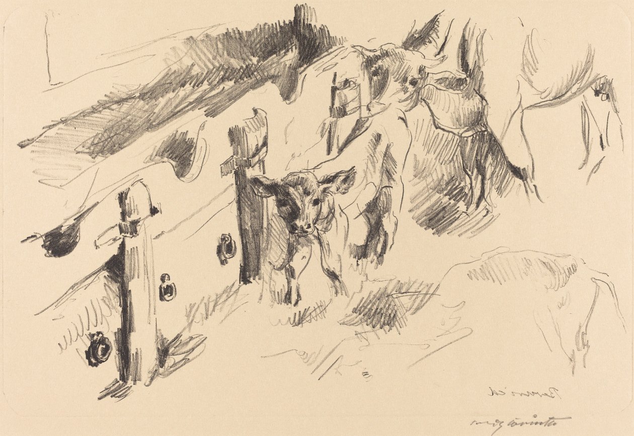 Kälber von Lovis Corinth