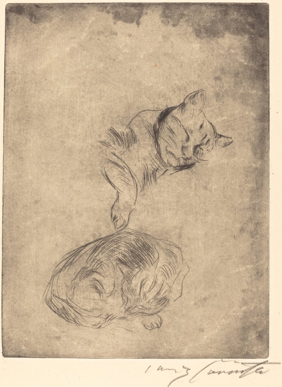 Katzenstudie von Lovis Corinth