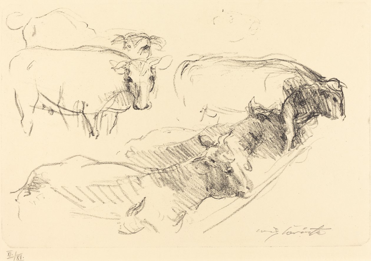 Kühe, 1910 von Lovis Corinth