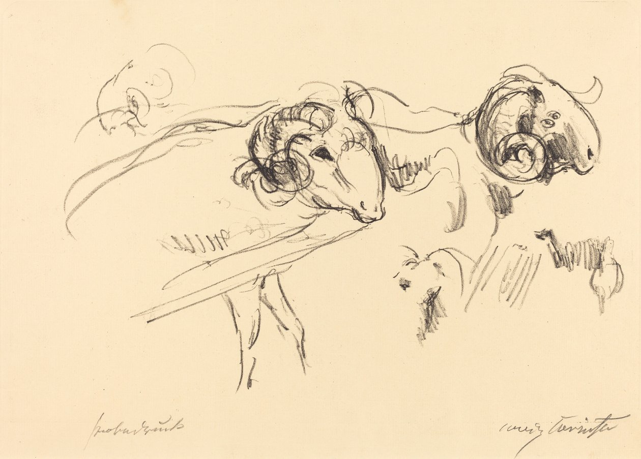 Schafböcke, 1912 von Lovis Corinth