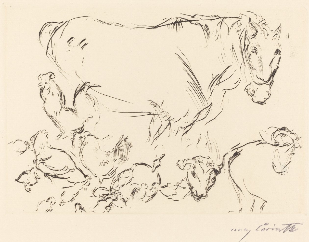 Verschiedene Tierstudien von Lovis Corinth