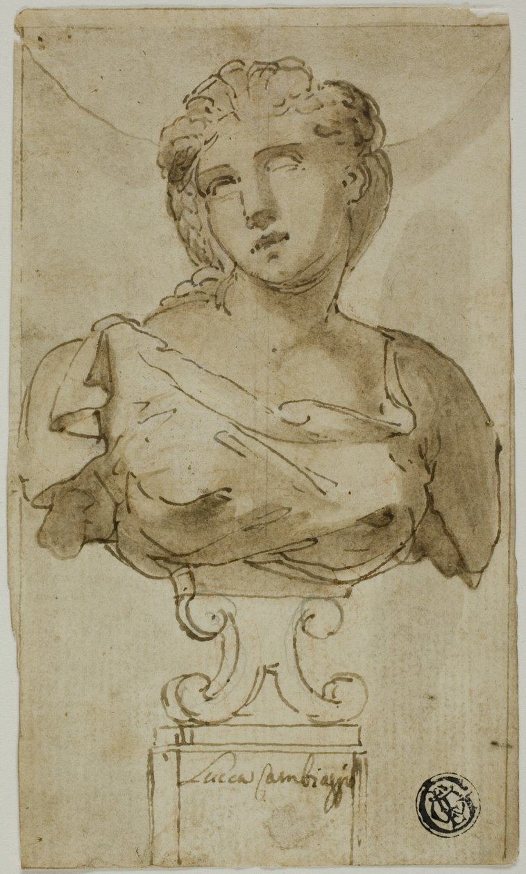 Büste einer Frau von Luca Cambiaso