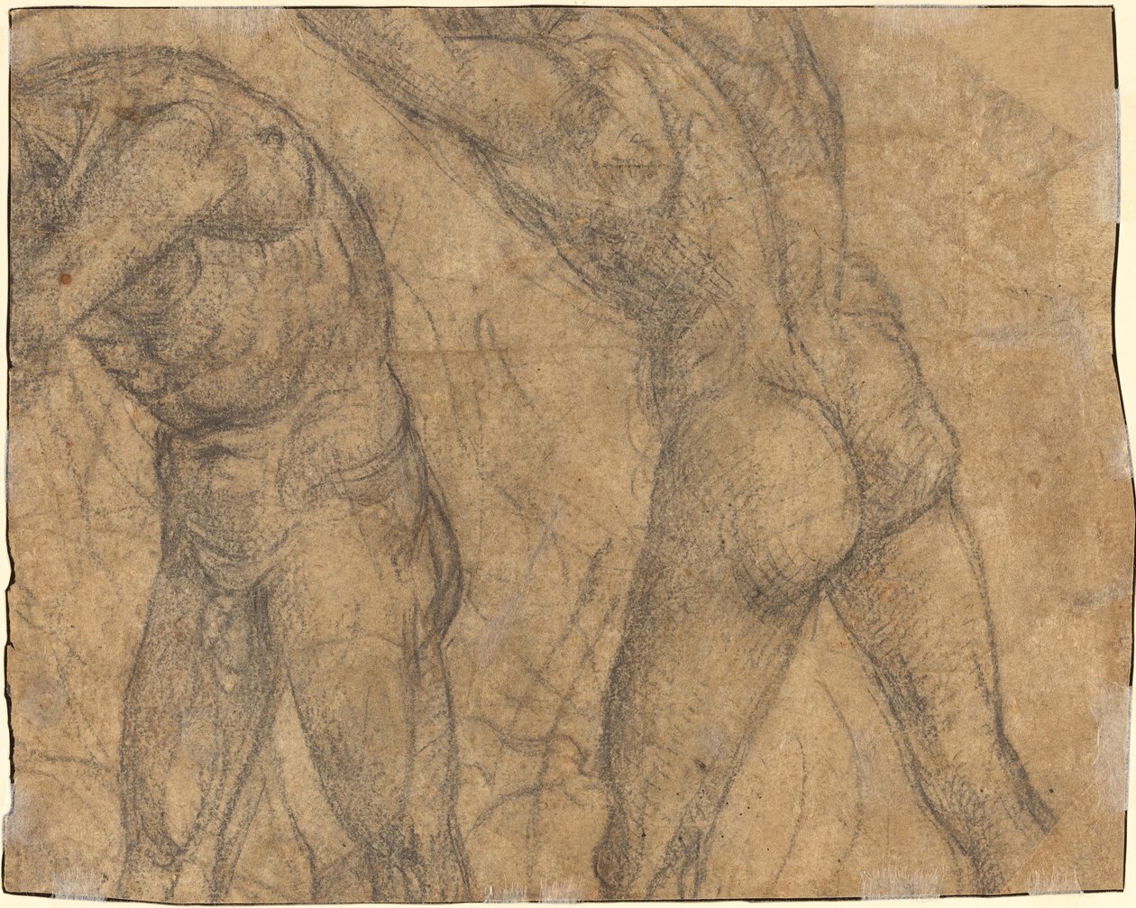 Zwei nackte Figuren (verso) von Luca Signorelli