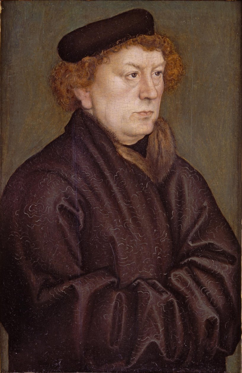 Bildnis eines Gelehrten von Lucas Cranach the Elder