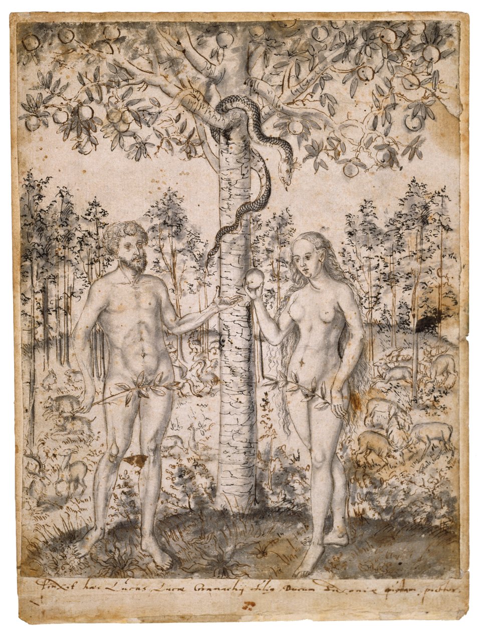 Der Sündenfall (nach 1549) von Lucas Cranach the Elder