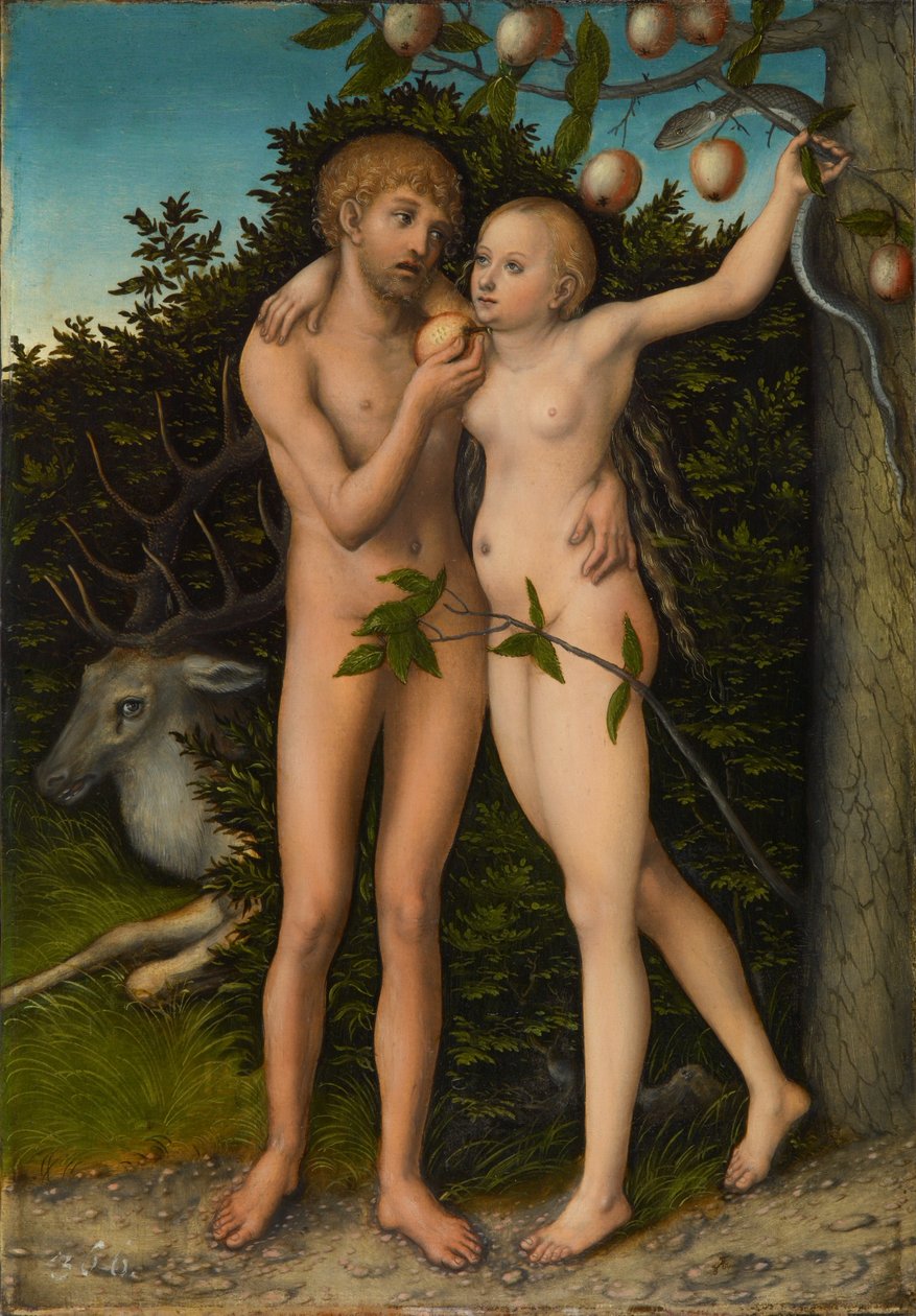 Der Sündenfall von Lucas Cranach the Elder