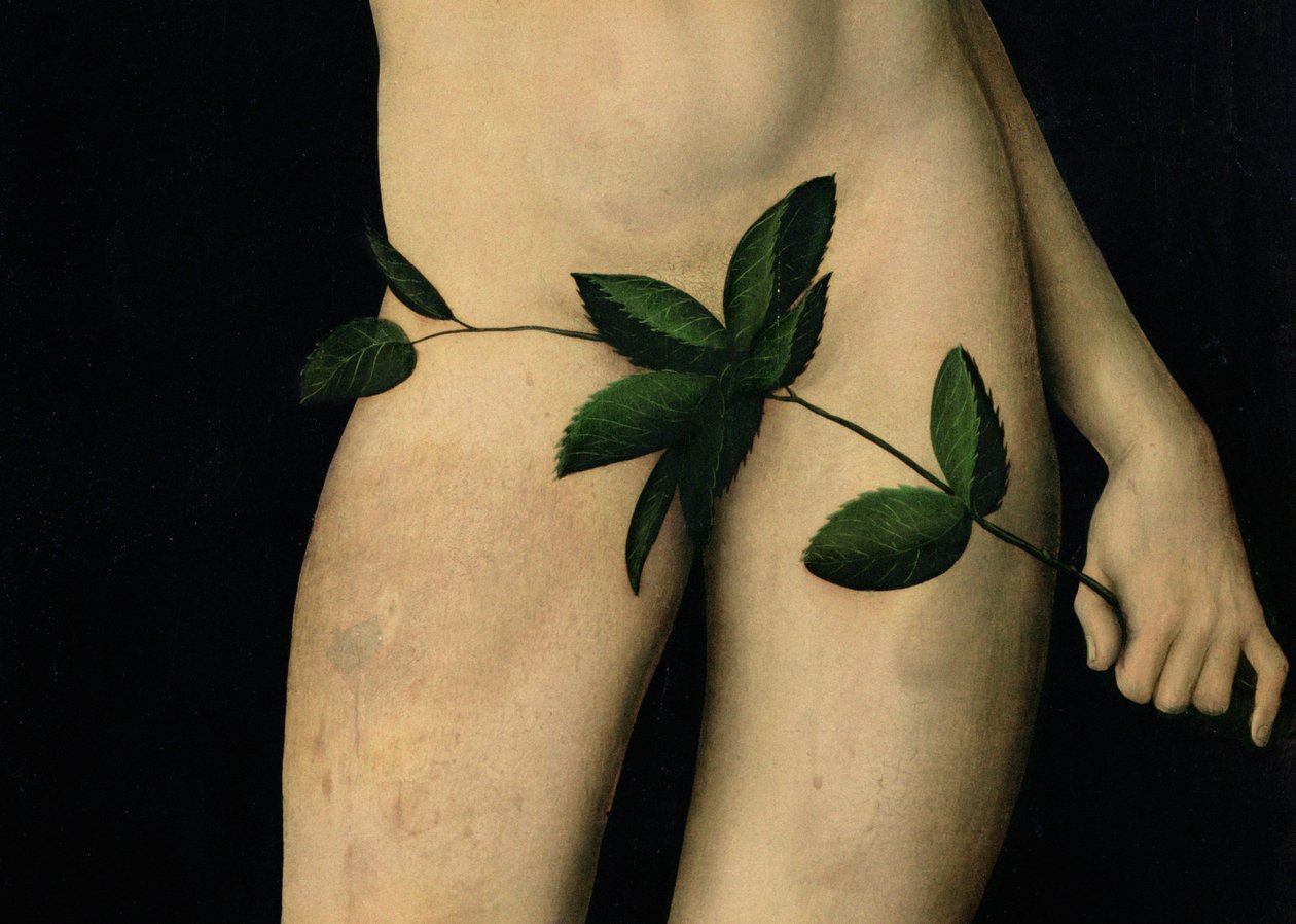 Adam, 1528 (Detail) von Lucas Cranach the Elder