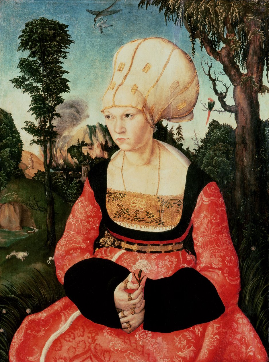 Anna Cuspinian von Lucas Cranach the Elder