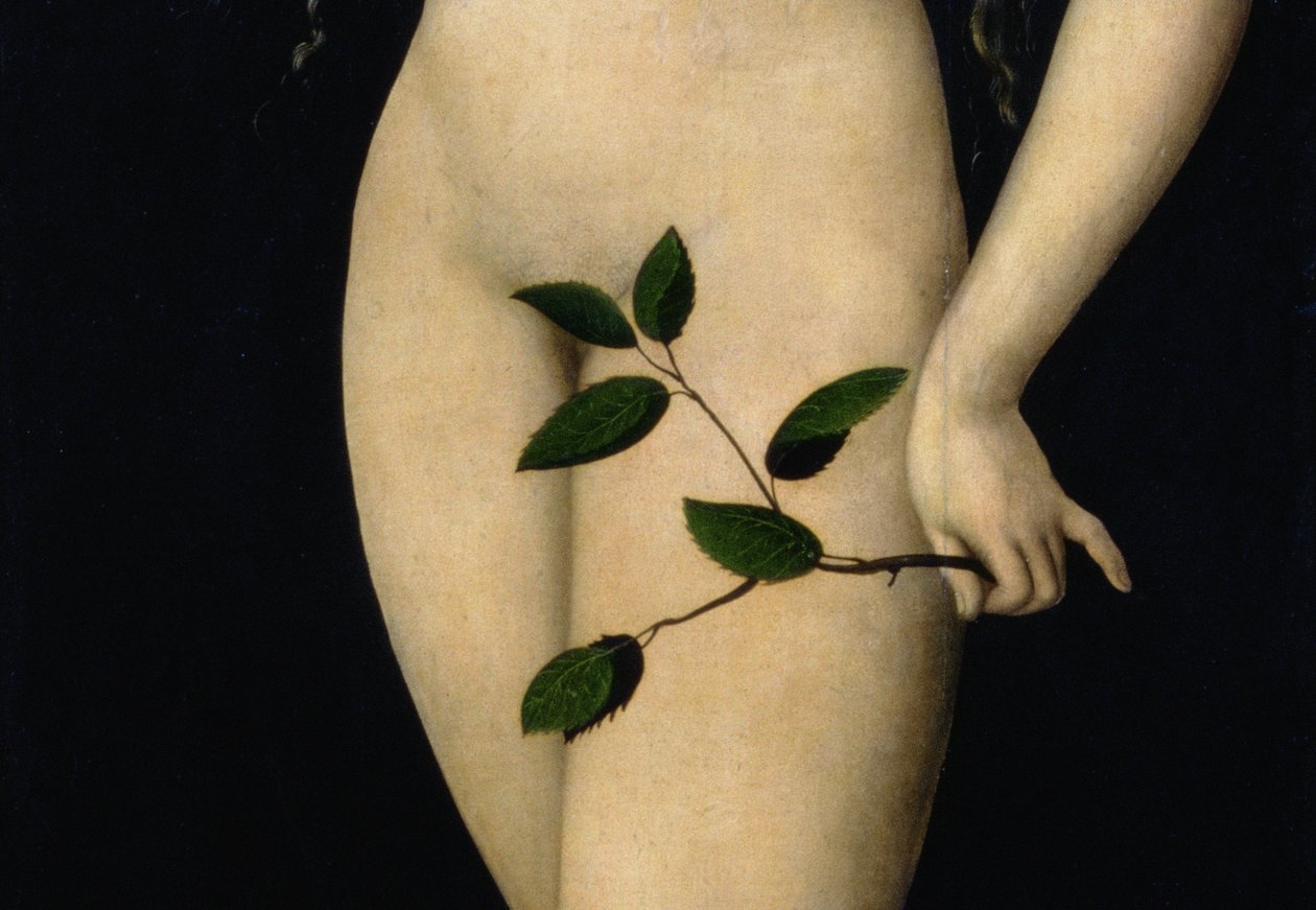 Eva, 1528 (Detail) von Lucas Cranach the Elder