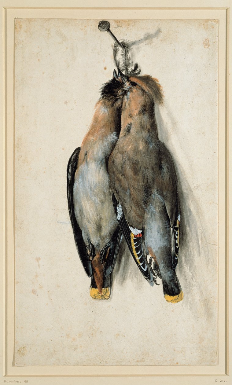 Zwei tote Seidenschwänze von Lucas Cranach the Elder