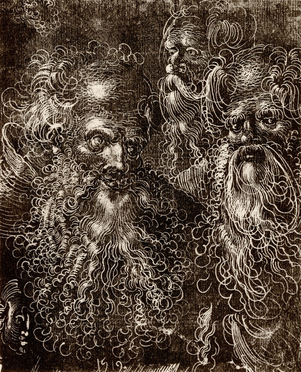Verschiedene Kopfstudien von Lucas (school of) Cranach