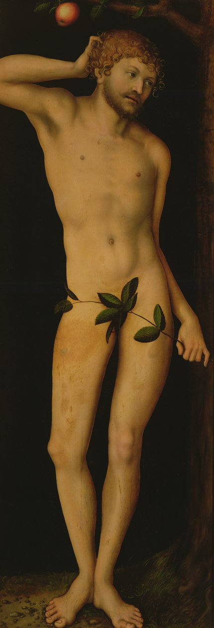 Adam, 1528 von Lucas Cranach the Elder
