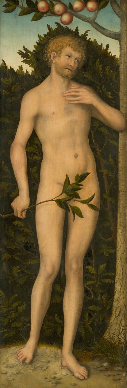 Adam von Lucas Cranach the Elder