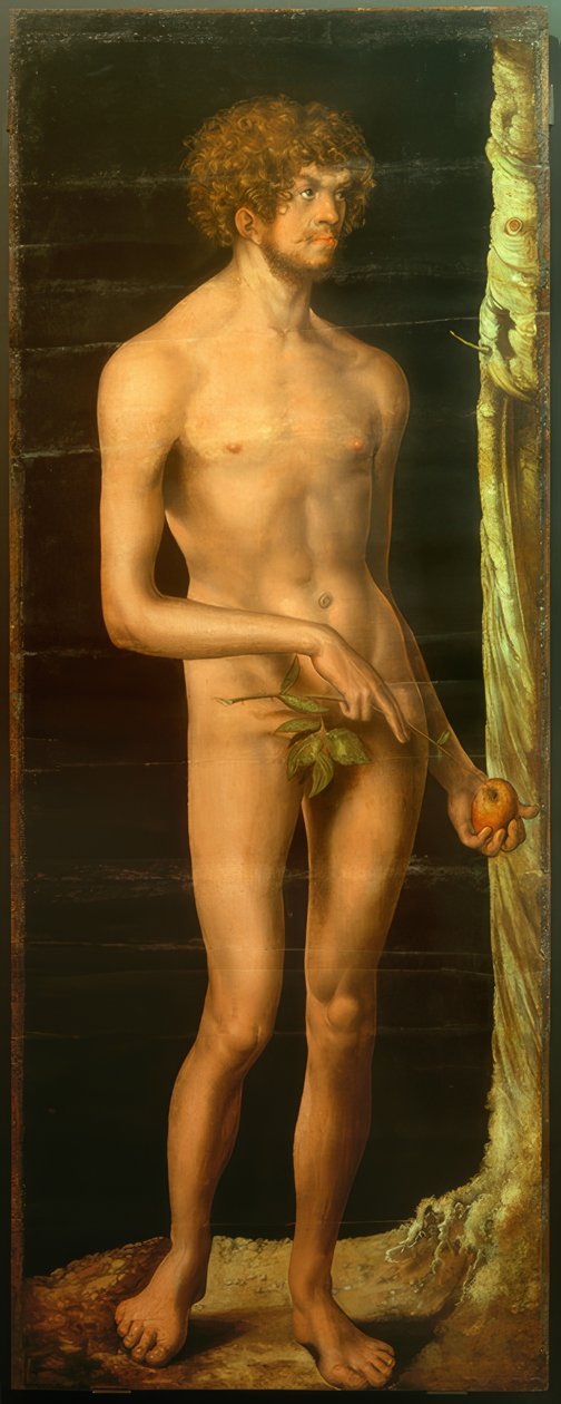 Adam von Lucas Cranach the Elder