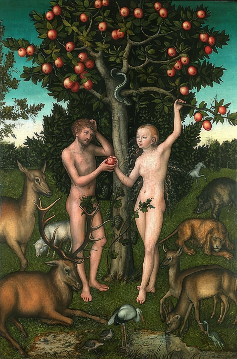 Adam und Eva von Lucas Cranach the Elder