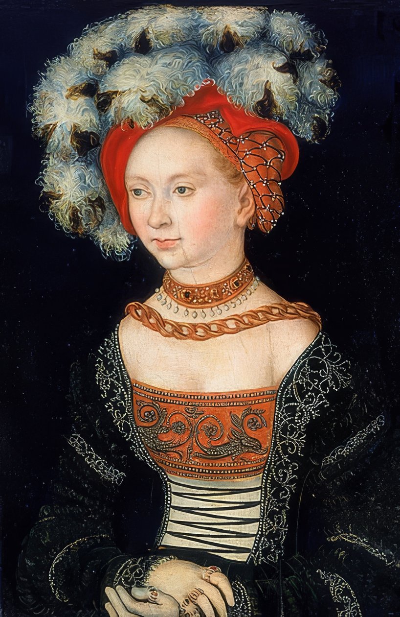 Bildnis einer Dame von Lucas Cranach the Elder