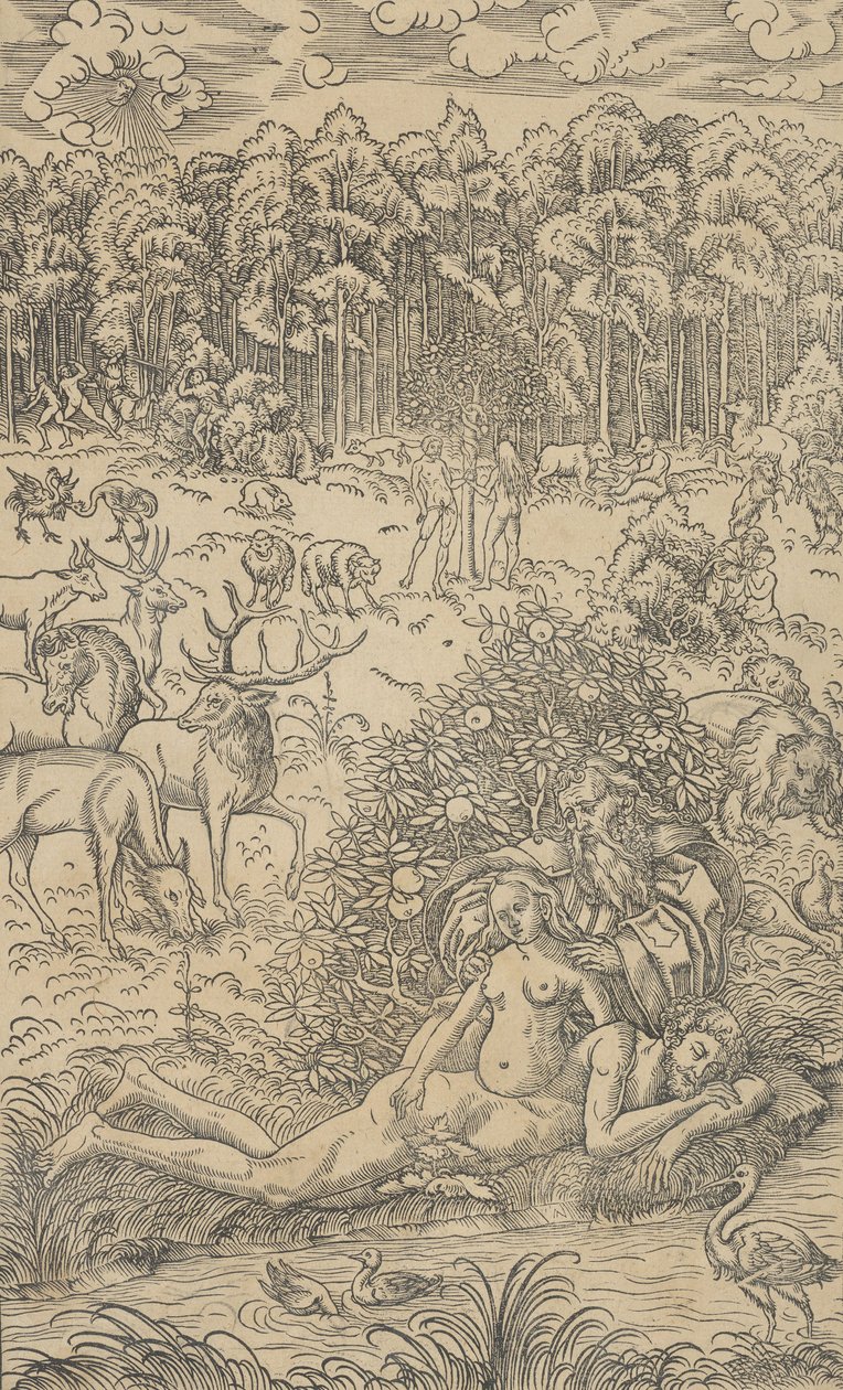 Die Erschaffung Evas von Lucas Cranach the Younger  