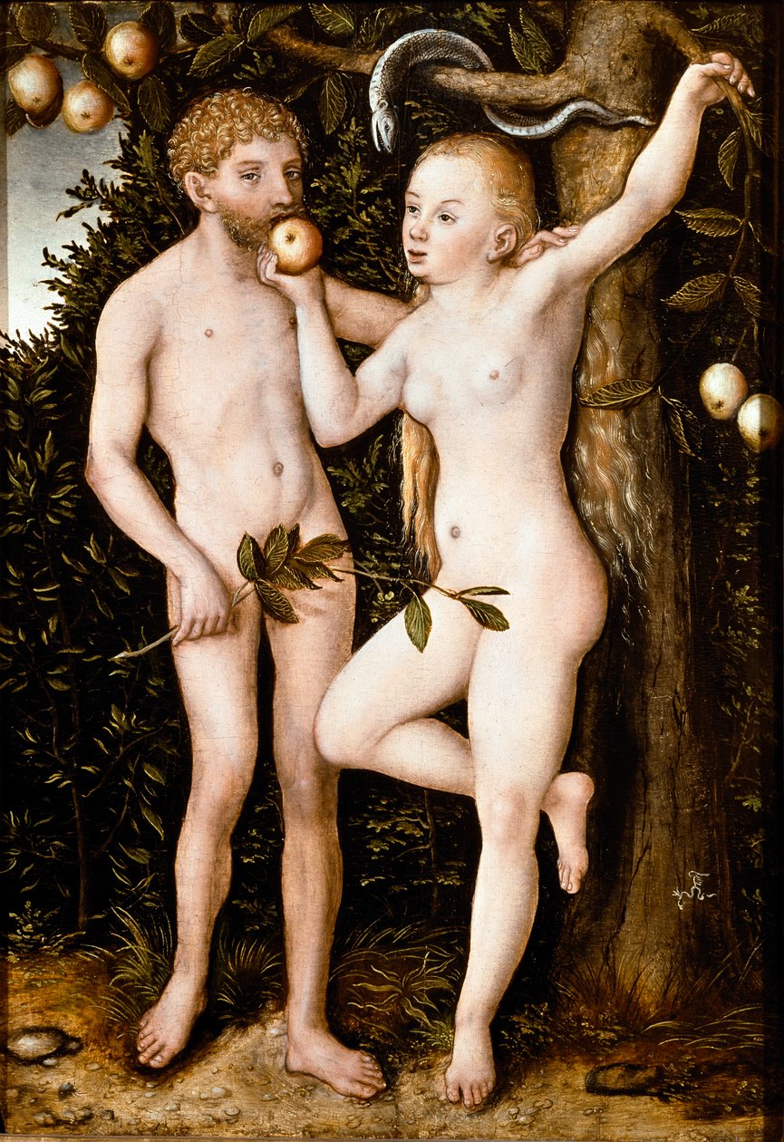 Adam und Eva von Lucas the Elder Cranach