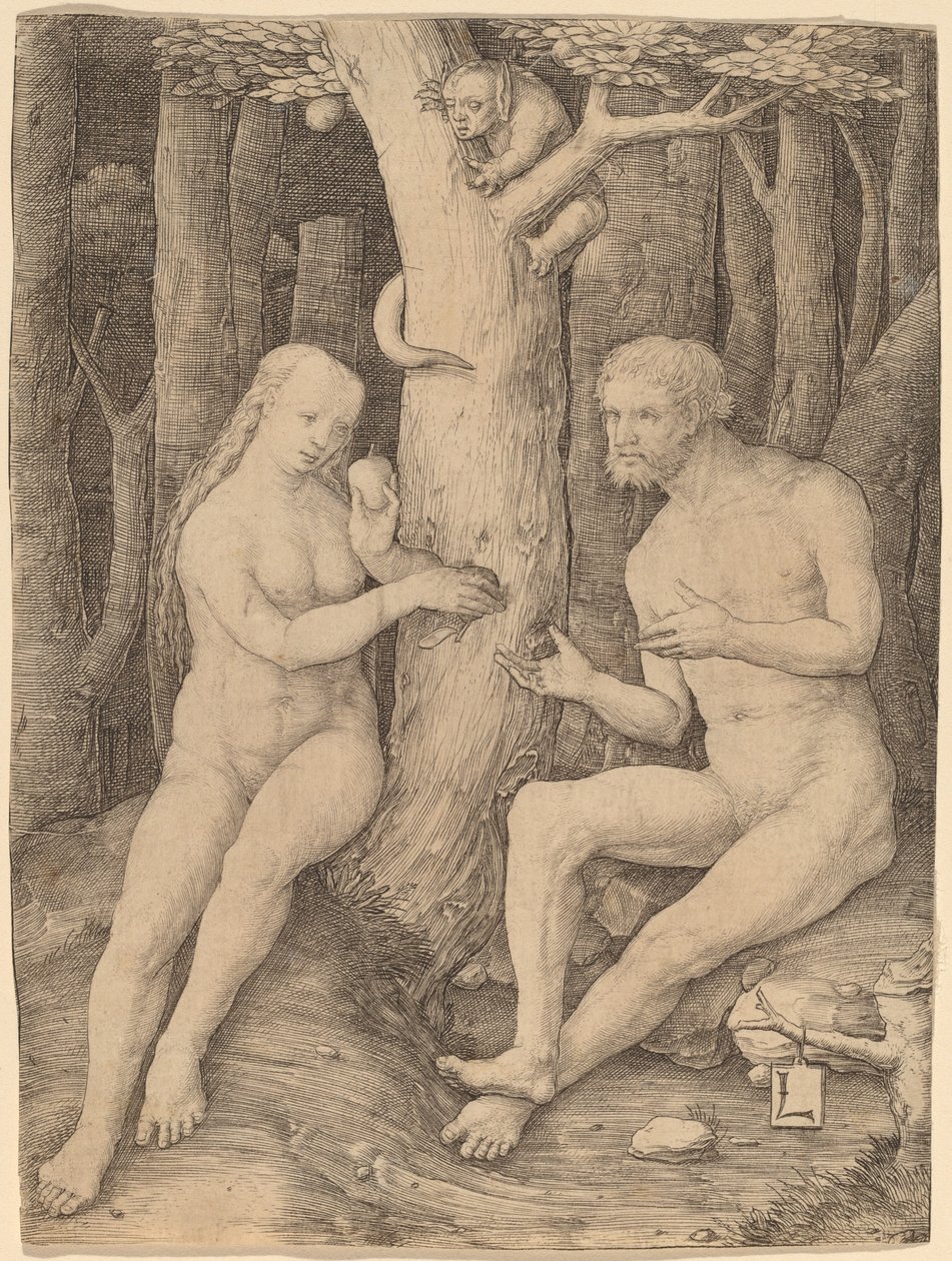 Der Sündenfall von Lucas van Leyden