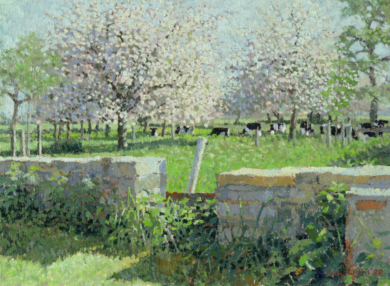 Kühe im Obstgarten, 1988 von Lucy Willis