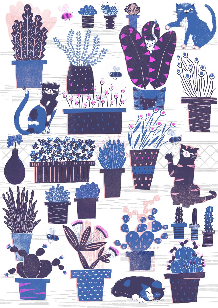 Katzengarten, 2015 von Lucy Banaji