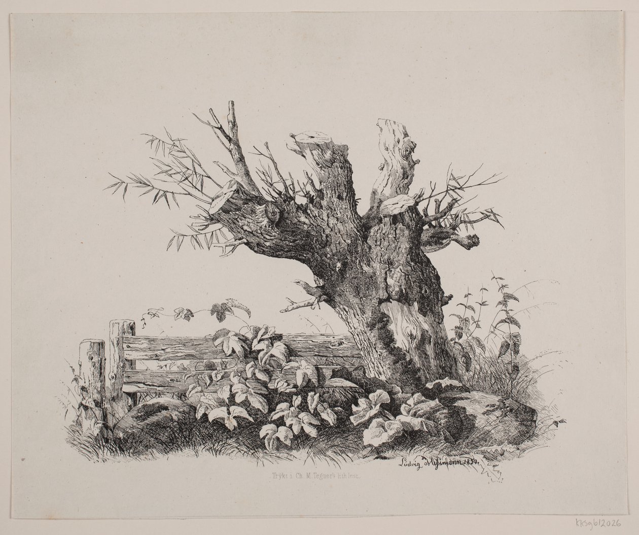 An einem Zaun von Ludvig Messmann