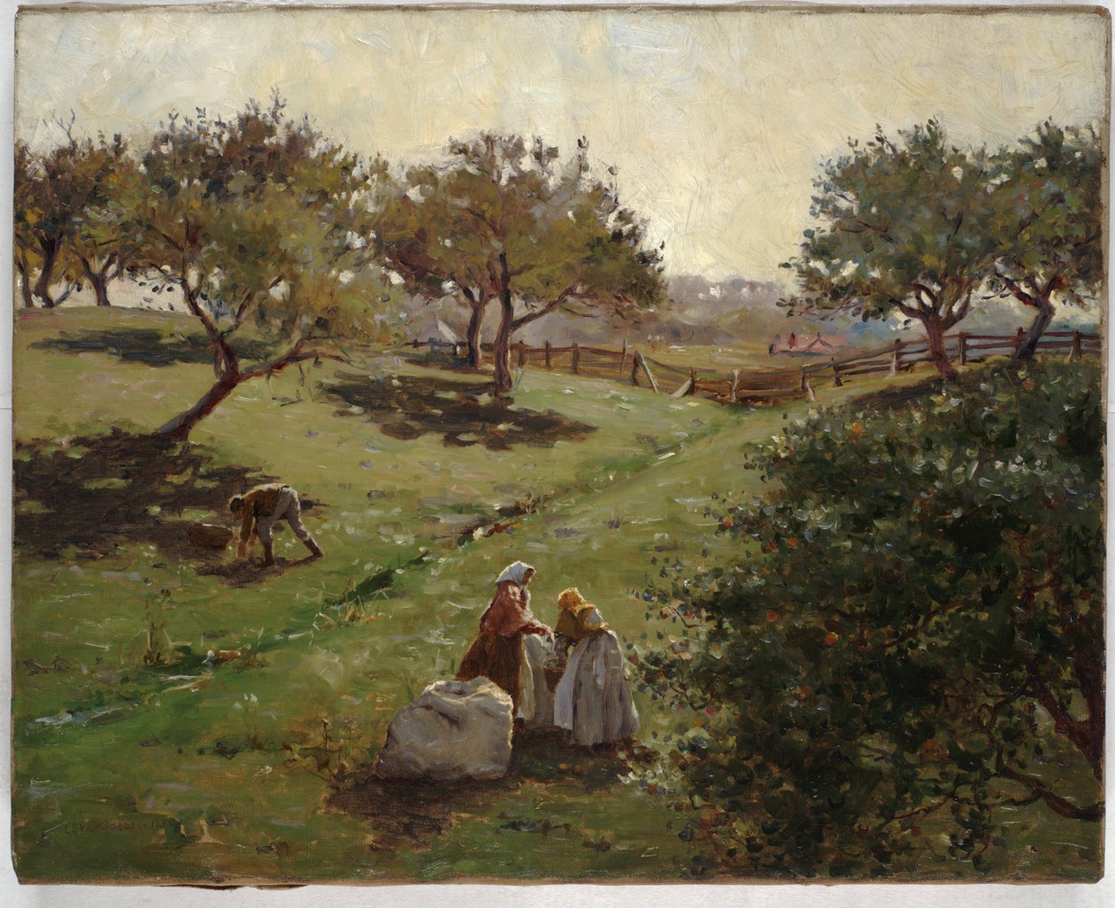 Apfelgarten, 1892 von Luther Emerson van Gorder