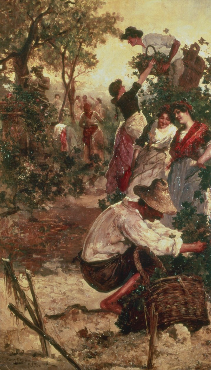 Die Weinlese von M.F. Moles