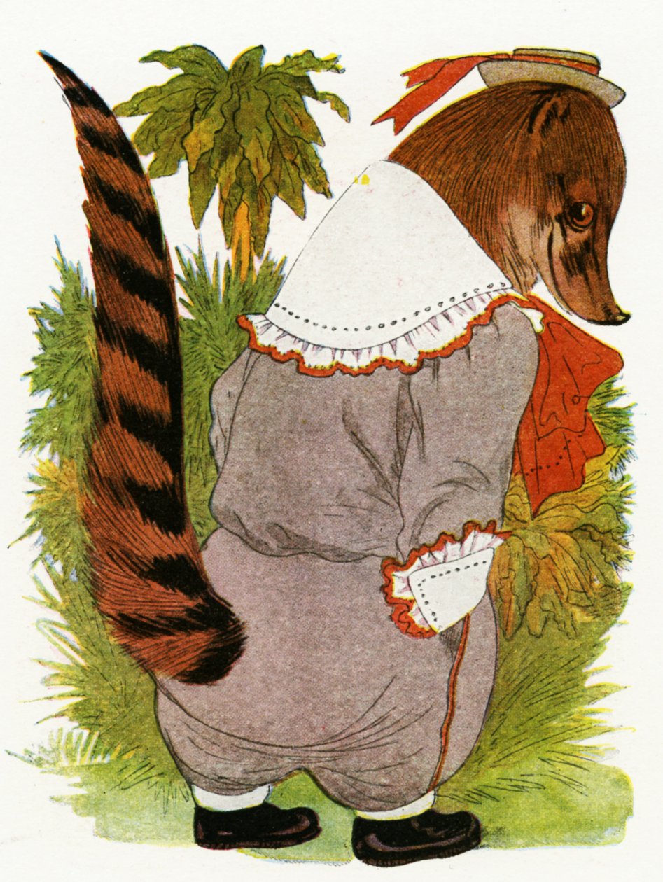 Coati, 1913 von Martin Ross
