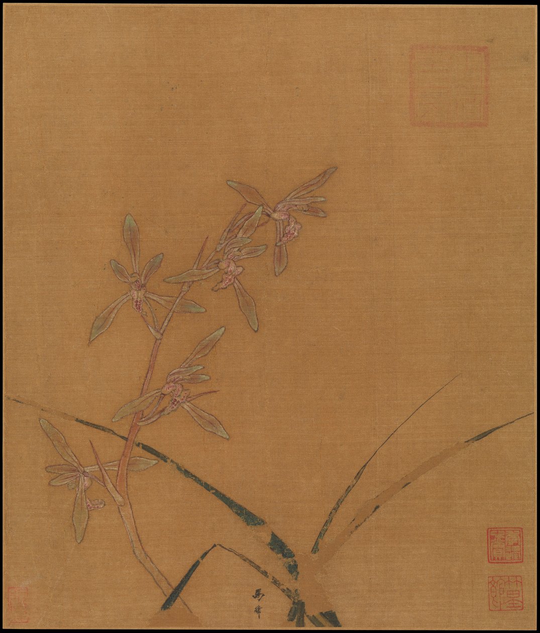 Orchideen, zweites Viertel des 13. Jahrhunderts. von Ma Lin