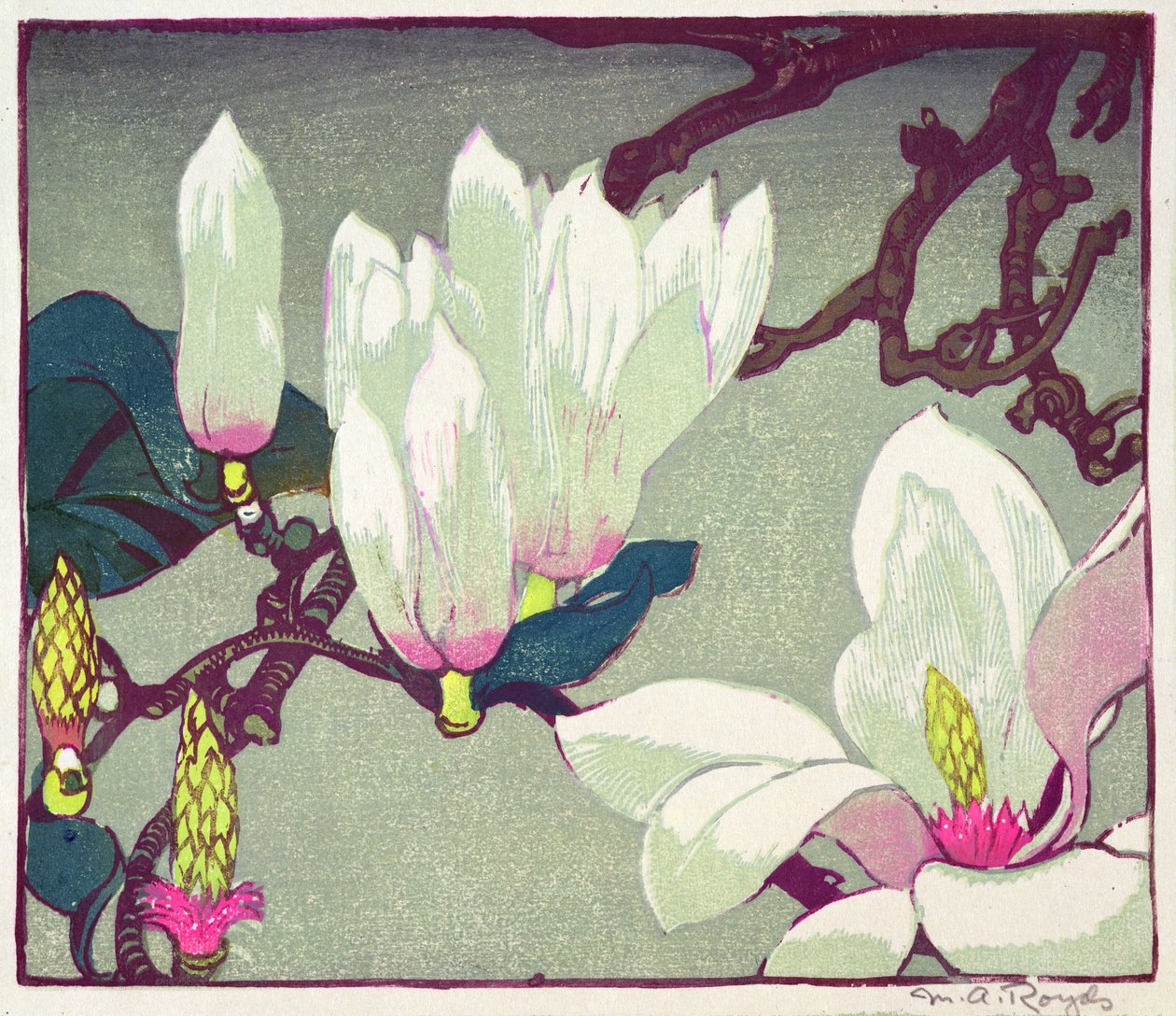 Magnolie, ca. 1925 von Mabel Royds