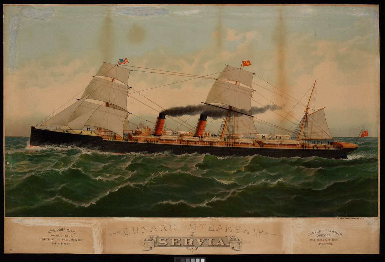 Cunard-Dampfschiff Servia von Major and Knapp Sarony
