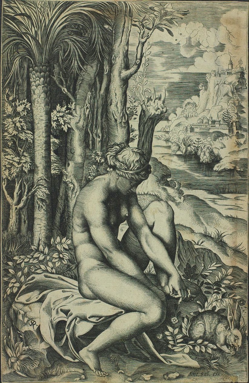 Venus von einem Rosendorn verwundet von Marco Dente
