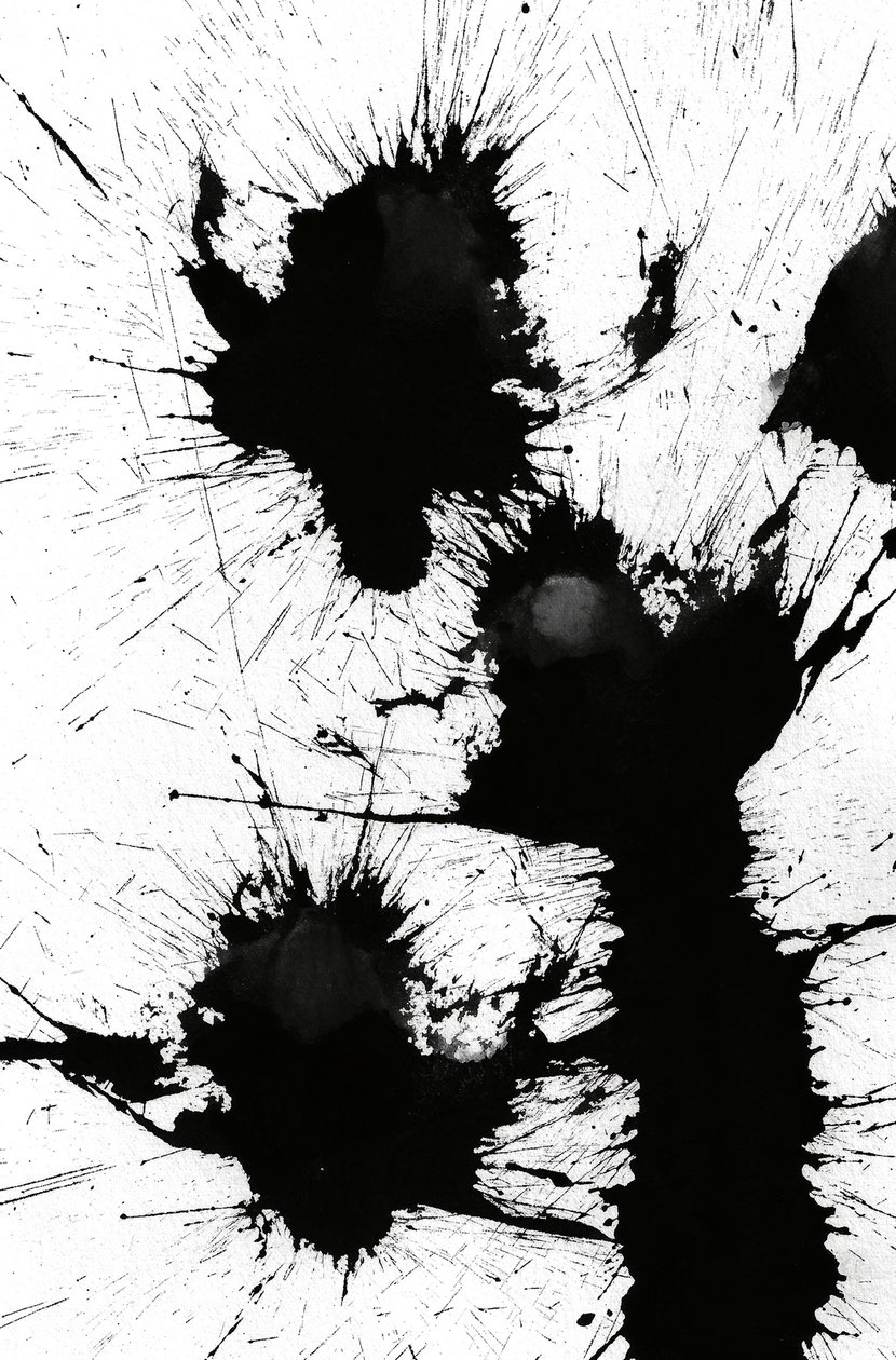 Klecks, 2014 von Marco Campedelli
