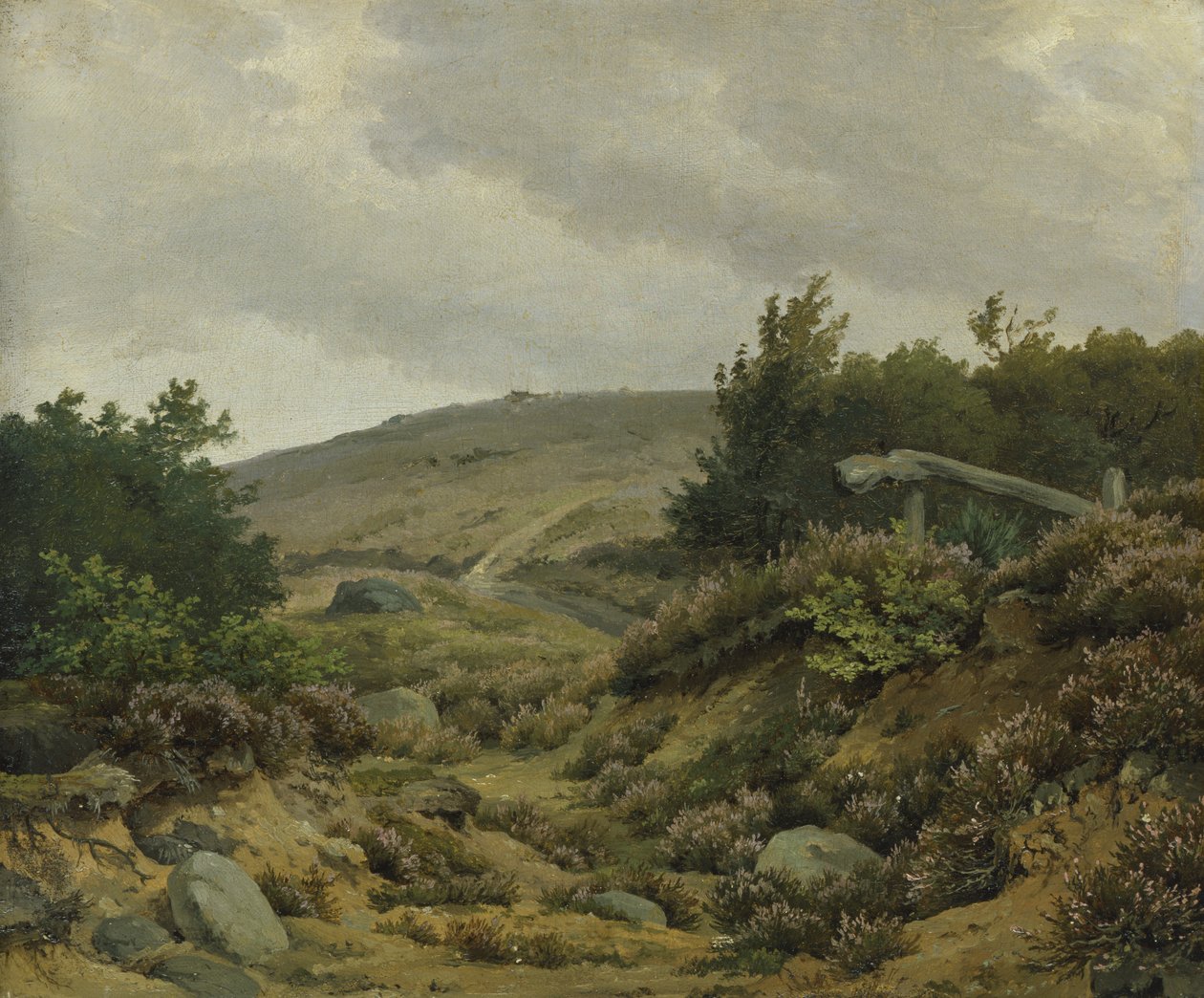 Auf dem Moor von Marcus Johann Haeselich