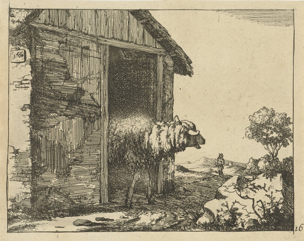 Schaf bei Schafstall von Marcus de Bye